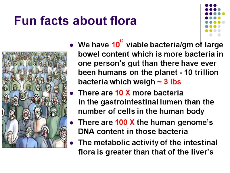 Fun facts about flora We have 10   viable bacteria/gm of large bowel